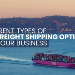 Different Types of Sea Freight Shipping Options for Your Business