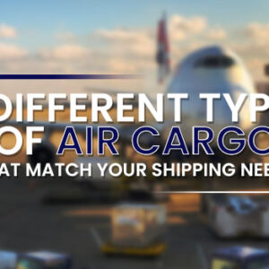 7 Different Types of Air Cargo that Match Your Shipping Needs